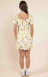 Picnic Pursuits Mini Dress