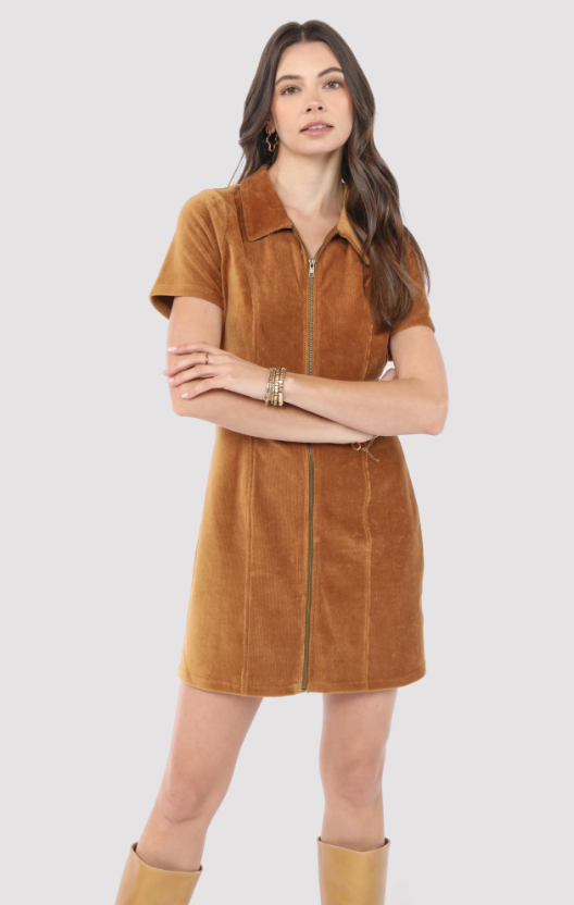 Woman wearing a brown suede dress with a white background
Morrison Zip Front Mini Dress