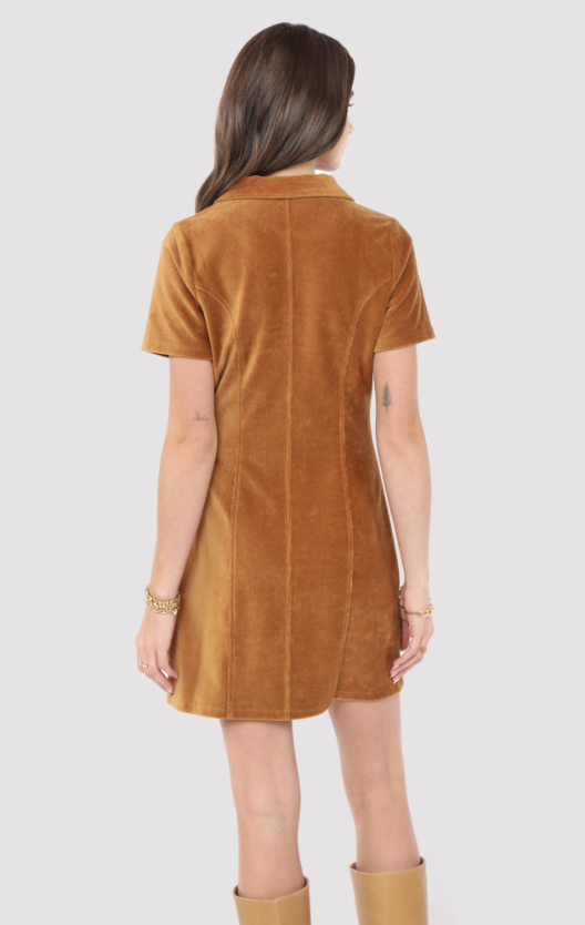 Woman wearing a brown suede dress with a white background
Morrison Zip Front Mini Dress