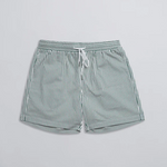 Lined Shorts