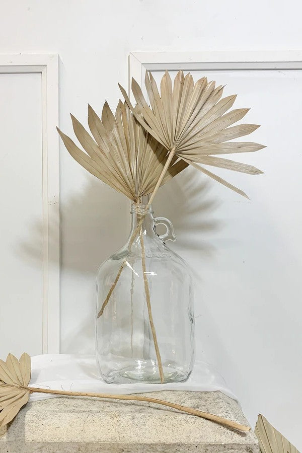 Dried Natural Palm Fan