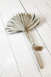 Dried Natural Palm Fan
